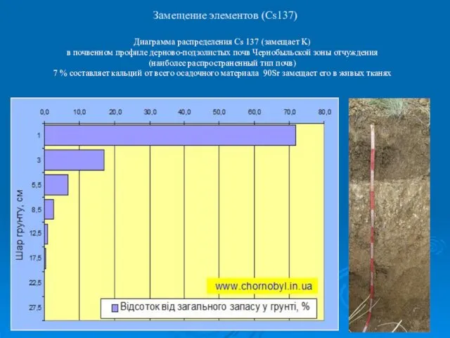 Диаграмма распределения Cs 137 (замещает K) в почвенном профиле дерново-подзолистых почв