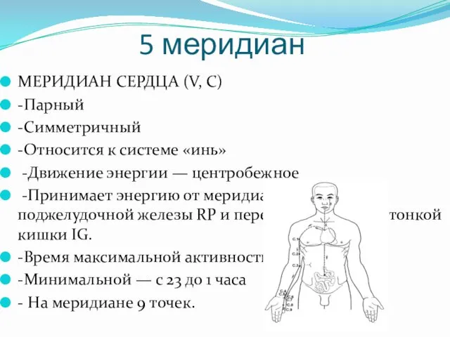 5 меридиан МЕРИДИАН СЕРДЦА (V, С) -Парный -Симметричный -Относится к системе