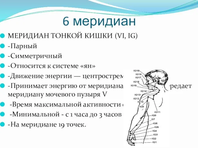 6 меридиан МЕРИДИАН ТОНКОЙ КИШКИ (VI, IG) -Парный -Симметричный -Относится к