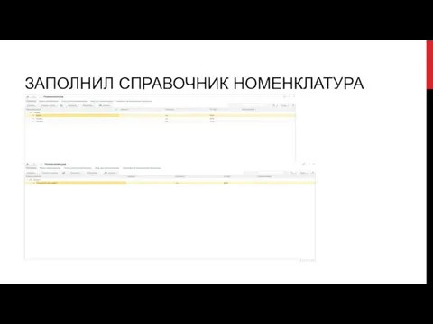 ЗАПОЛНИЛ СПРАВОЧНИК НОМЕНКЛАТУРА