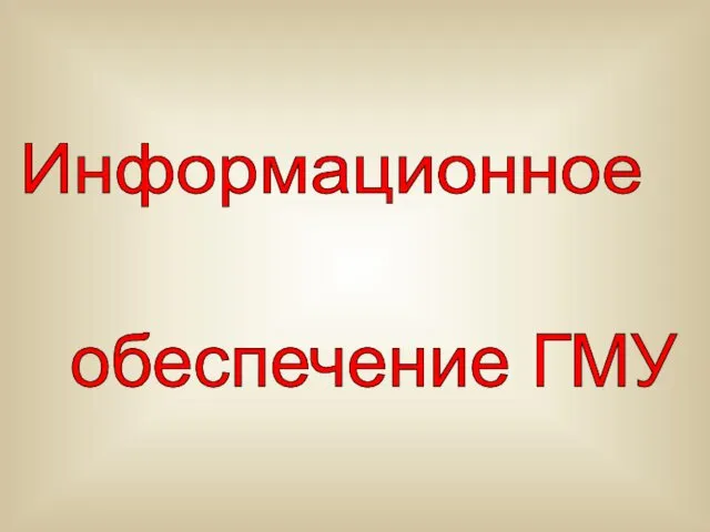 Информационное обеспечение ГМУ