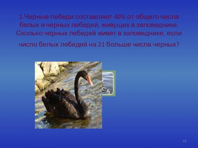 1.Черные лебеди составляют 40% от общего числа белых и черных лебедей,