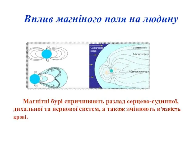 Вплив магніного поля на людину Магнітні бурі спричиняють разлад серцево-судинної, дихальної