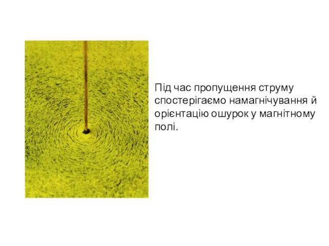 Під час пропущення струму спостерігаємо намагнічування й орієнтацію ошурок у магнітному полі.