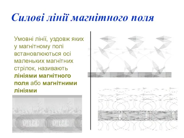 Силові лінії магнітного поля Умовні лінії, уздовж яких у магнітному полі