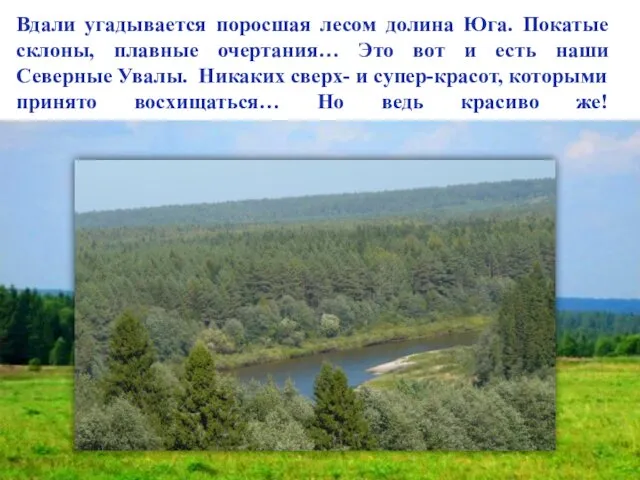 Вдали угадывается поросшая лесом долина Юга. Покатые склоны, плавные очертания… Это