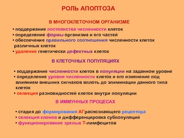 РОЛЬ АПОПТОЗА поддержание постоянства численности клеток определение формы организма и его