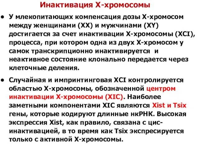 Инактивация X-хромосомы У млекопитающих компенсация дозы X-хромосом между женщинами (XX) и