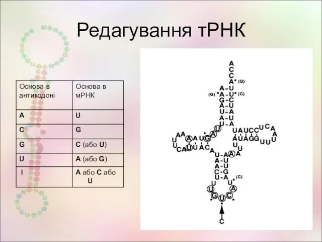 Редагування тРНК