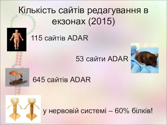 Кількість сайтів редагування в екзонах (2015) 115 сайтів ADAR 53 сайти