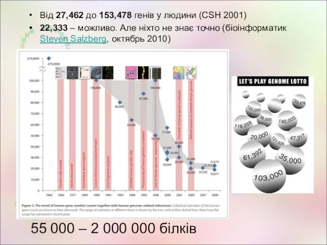 Від 27,462 до 153,478 генів у людини (CSH 2001) 22,333 –