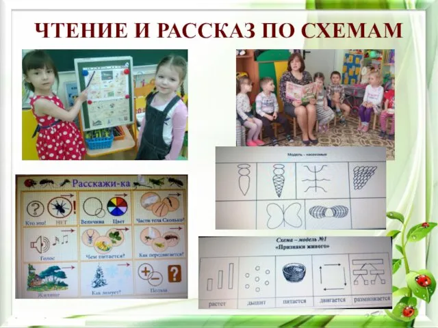 ЧТЕНИЕ И РАССКАЗ ПО СХЕМАМ