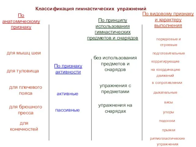 Классификация гимнастических упражнений По анатомическому признаку По признаку активности По принципу