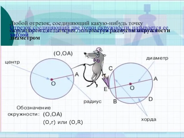 (O,r) или (O,R) Любой отрезок, соединяющий какую-нибудь точку окружности с ее