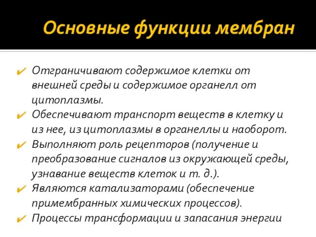 Основные функции мембран Отграничивают содержимое клетки от внешней среды и содержимое