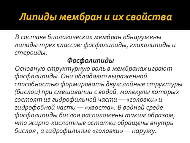 Липиды мембран и их свойства В составе биологических мембран обнаружены липиды