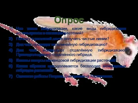 Опрос Что такое гибридизация, какие виды гибридизации используются в селекции растений?