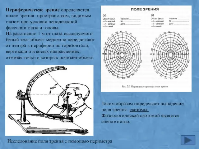 Периферическое зрение определяется полем зрения- пространством, видимым глазом при условии неподвижной