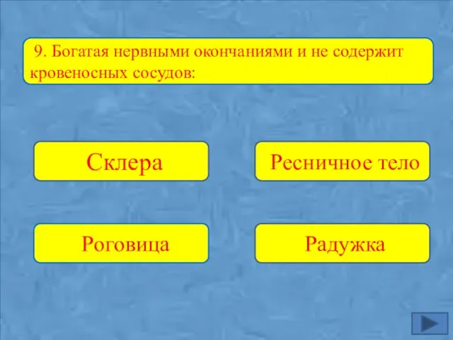 Склера Роговица Радужка Ресничное тело 9. Богатая нервными окончаниями и не содержит кровеносных сосудов: