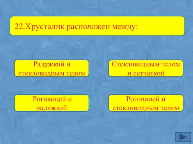 Радужкой и стекловидным телом Роговицей и радужкой Роговицей и стекловидным телом