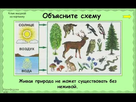 Объясните схему Живая природа не может существовать без неживой. Клик мышкой на картинку