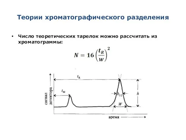 Теории хроматографического разделения Число теоретических тарелок можно рассчитать из хроматограммы: