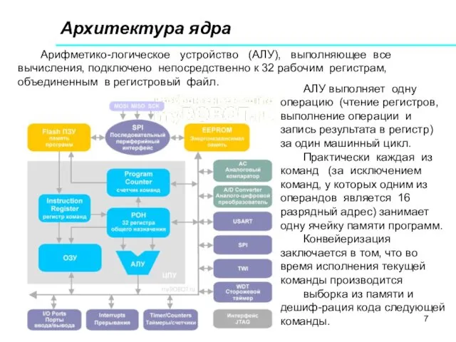 Архитектура ядра Арифметико-логическое устройство (АЛУ), выполняющее все вычисления, подключено непосредственно к