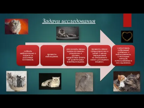 Задачи исследования