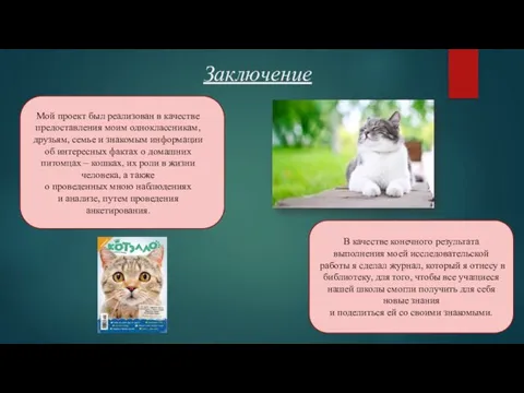 Заключение Мой проект был реализован в качестве предоставления моим одноклассникам, друзьям,