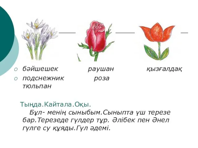 бәйшешек раушан қызғалдақ подснежник роза тюльпан Тыңда.Кайтала.Оқы. Бұл- менің сыныбым.Сыныпта үш