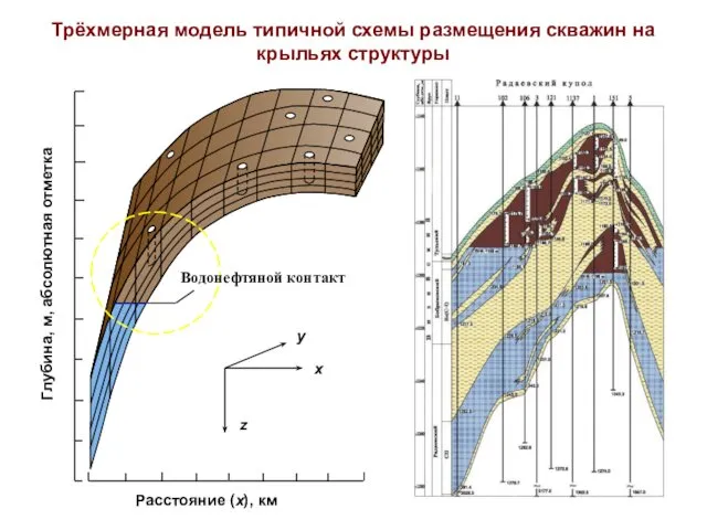 Трёхмерная модель типичной схемы размещения скважин на крыльях структуры