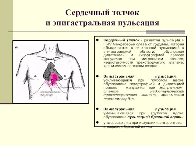 Сердечный толчок и эпигастральная пульсация Сердечный толчок - разлитая пульсация в