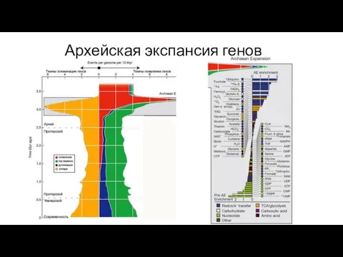 Архейская экспансия генов