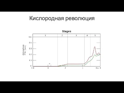 Кислородная революция