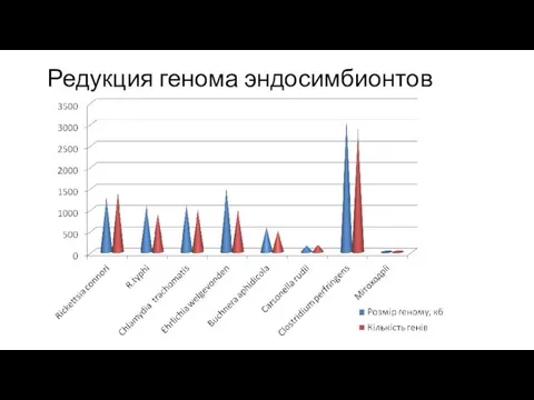 Редукция генома эндосимбионтов