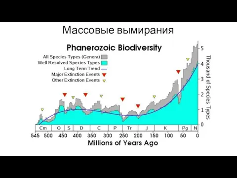 Массовые вымирания