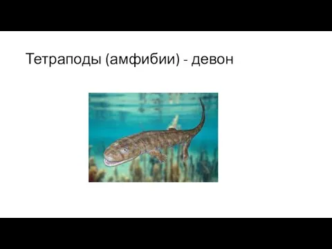 Тетраподы (амфибии) - девон