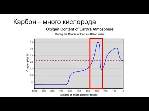 Карбон – много кислорода