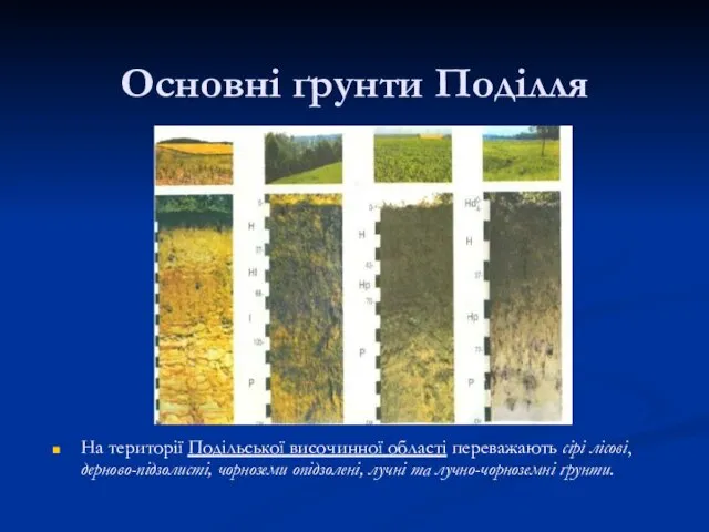 Основні ґрунти Поділля На території Подільської височинної області переважають сірі лісові,