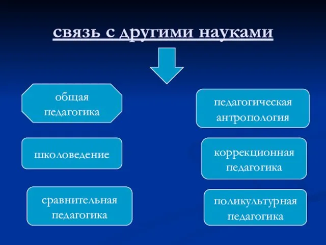 связь с другими науками общая педагогика школоведение сравнительная педагогика педагогическая антропология коррекционная педагогика поликультурная педагогика