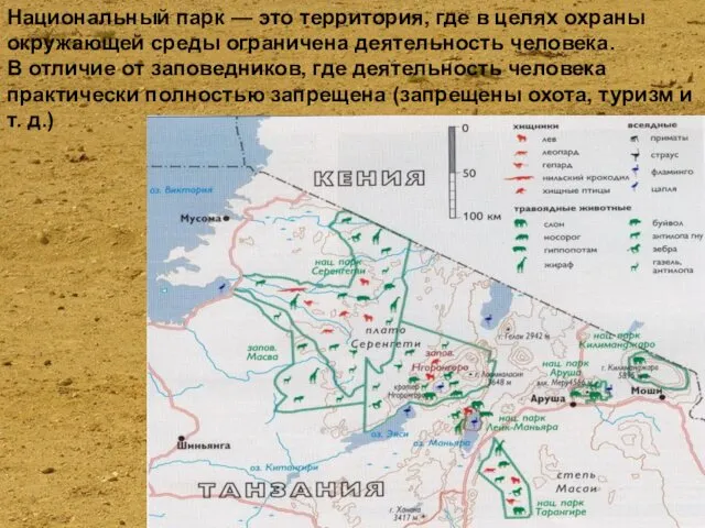 Национальный парк — это территория, где в целях охраны окружающей среды