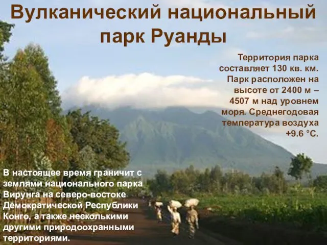 Вулканический национальный парк Руанды Территория парка составляет 130 кв. км. Парк