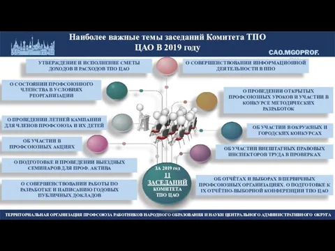 ЗА 2019 год 11 ЗАСЕДАНИЙ КОМИТЕТА ТПО ЦАО Наиболее важные темы