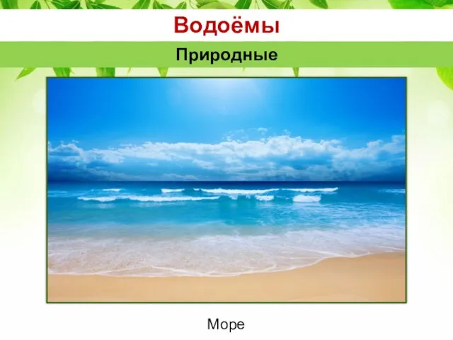 Водоёмы Природные Море