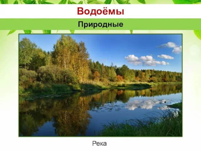 Водоёмы Природные Река