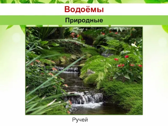 Водоёмы Природные Ручей