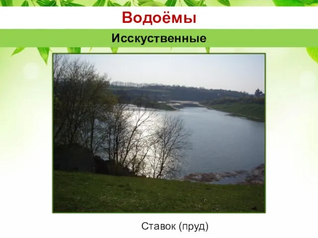 Водоёмы Исскуственные Ставок (пруд)