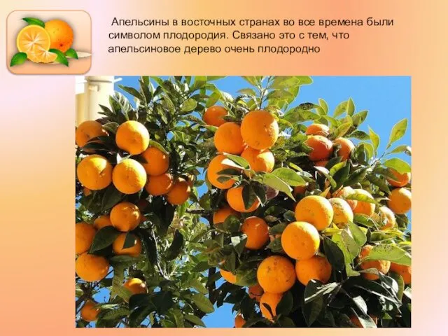 Апельсины в восточных странах во все времена были символом плодородия. Связано