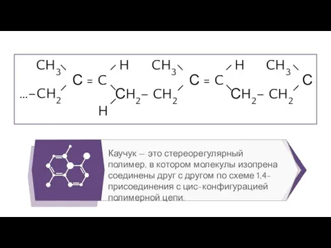 CH3 …–CH2 С = C H H СH2– CH2 CH3 С