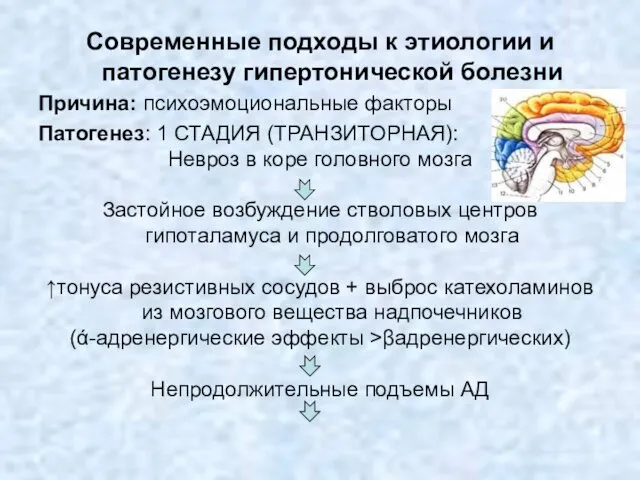 Современные подходы к этиологии и патогенезу гипертонической болезни Причина: психоэмоциональные факторы